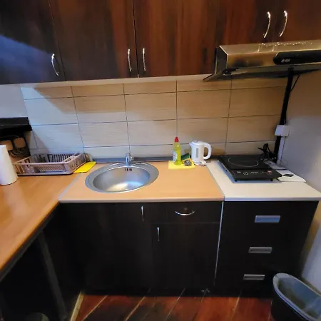 Lena 45m2 Sokobanja-centar Daire *