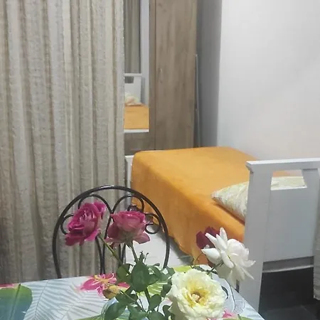 Lena 45m2 Sokobanja-centar Daire