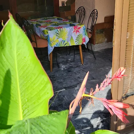 Lena 45m2 Sokobanja-centar Daire