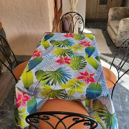 Lena 45m2 Sokobanja-centar Daire *