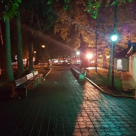 Lena 45m2 Sokobanja-centar Apartment