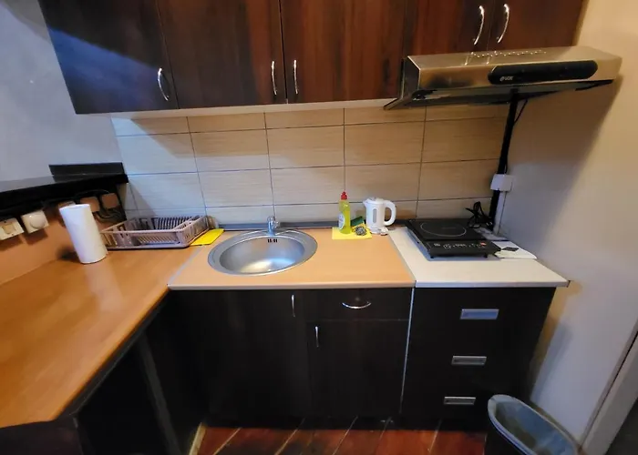 Lena 45m2 Sokobanja-centar شقة *