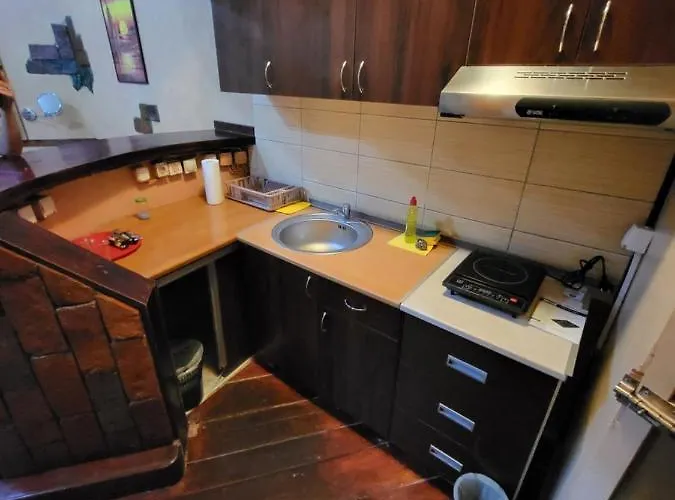 Lena 45m2 Sokobanja-centar شقة