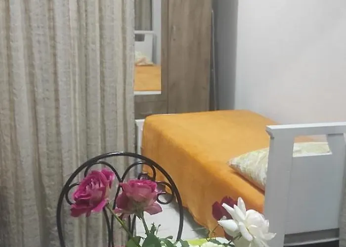 Lena 45m2 Sokobanja-centar شقة