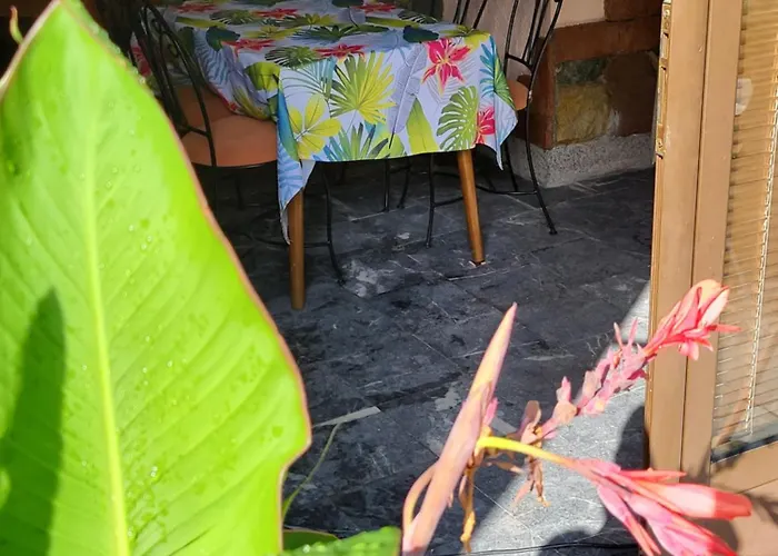 Lena 45m2 Sokobanja-centar شقة