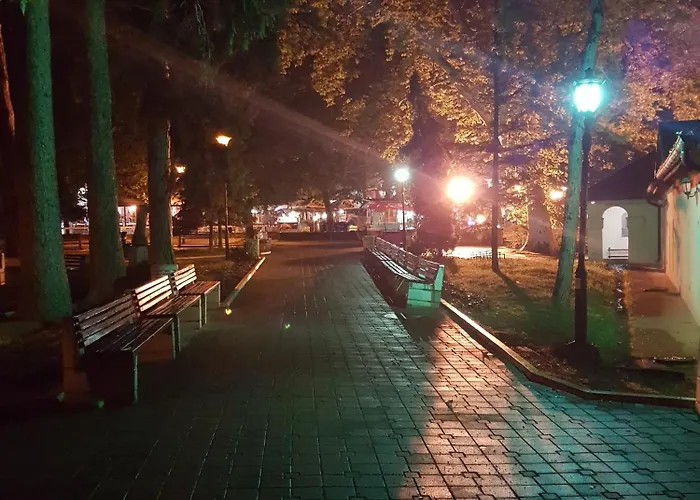 Lena 45m2 Sokobanja-centar شقة